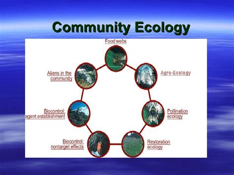 Community Ecology