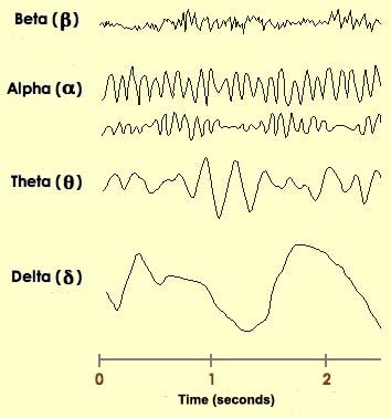 Stages of sleep eeg - usevsera