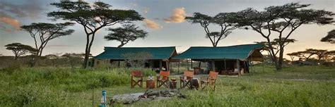 Serengeti Exclusive | 3-Day Camping Safari | Kilimanjaro Climbers