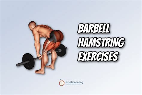 7 Best Barbell Hamstring Exercises (with Videos!)