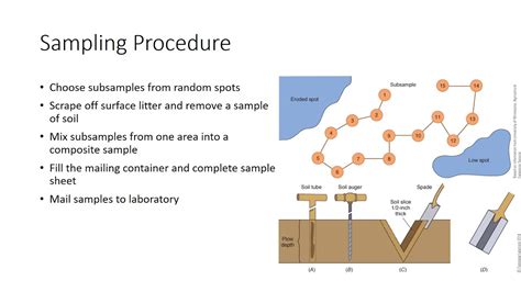 Finding Microplastics In Soils: A Review Of Analytical, 50% OFF