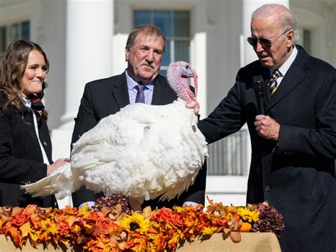 Joe Biden pardons turkeys Chocolate and Chip, gives thanks for 'no ballot stuffing' and 'no fowl ...