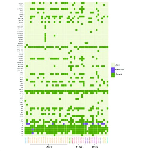 | Heatmap showing the distribution of acquired AMR genes and AMR... | Download Scientific Diagram