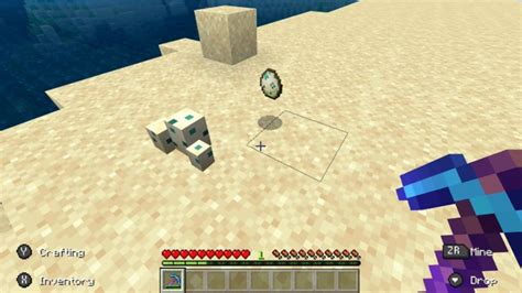 How to get Sea Turtle Eggs in Minecraft - DoubleXP