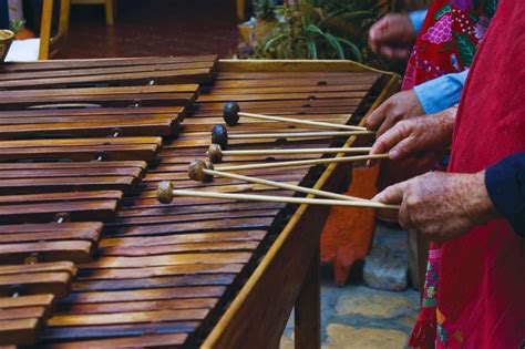 Xylophone Vs Marimba - What Is the Difference Between Them? - Musical Instrument Pro