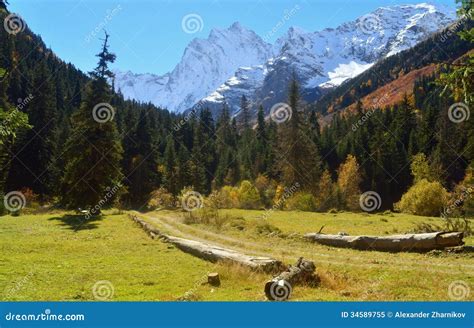 Sunny valley stock image. Image of peak, birch, caucasus - 34589755