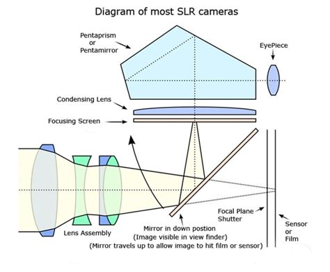 Email Imperial cat dslr camera diagram Venture Submerged sex