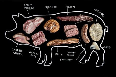 An Illustration Of A Pig Depicting Various Cuts Of Meat And Products ...