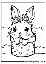 Rabbit Coloring Pages 100% Free Printables sketch template