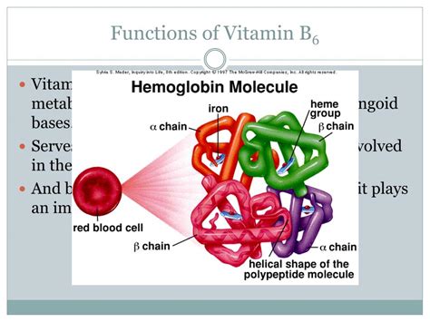 PPT - Vitamin B 6 PowerPoint Presentation, free download - ID:2111069