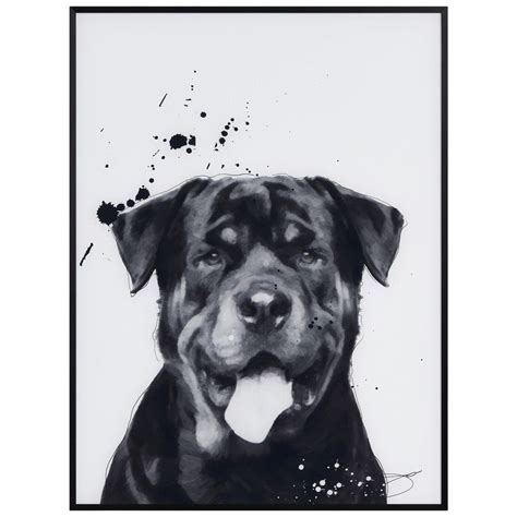 Empire Art Direct "Rottweiler" Black and White Pet Paintings on Printed Glass Encased with a ...