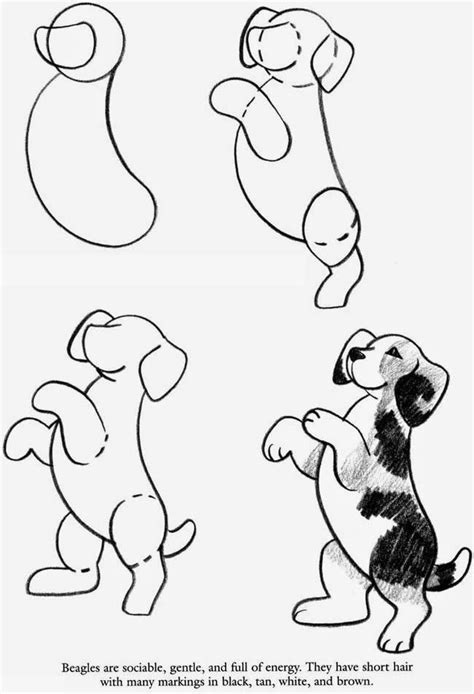 Here are more free downloads from Dover Publications . How to Draw Beagles How to Draw ...