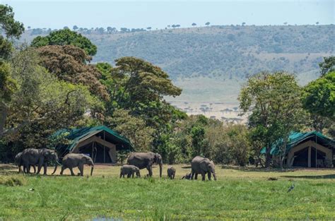 Best Safari Lodges in Kenya - Book It Lets Go