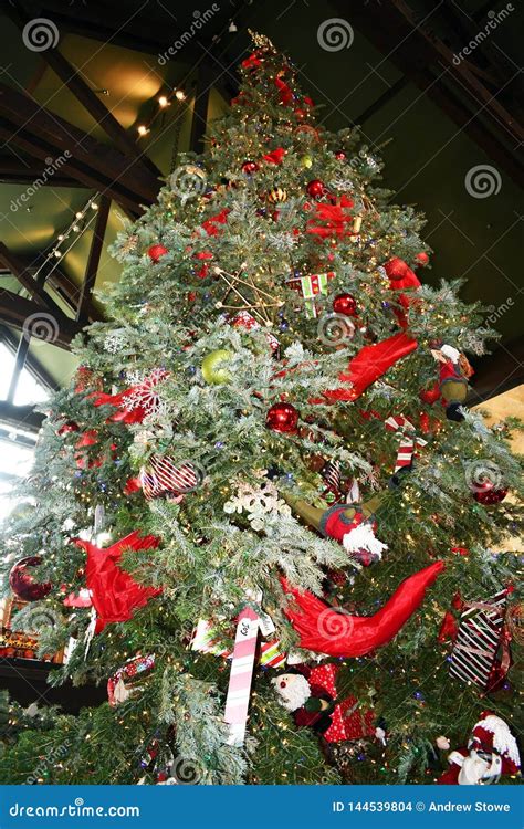 Huge Christmas Tree with Lights Stock Photo - Image of card, colorful ...