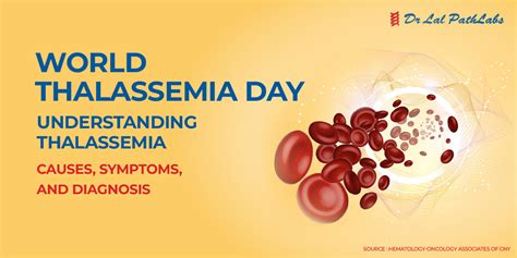 Thalassemia: Causes, Symptoms & Diagnosis - Dr Lal PathLabs Blog