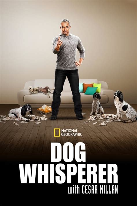 Dog Whisperer (TV Series 2004-2012) — The Movie Database (TMDB)