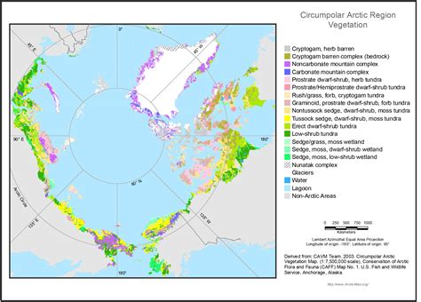 Circumpolar Arctic Vegetation, Geobotanical, Physiographic Maps, 1982-2003