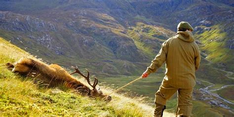 Traditional Red Stag and Sika Stag Hunting and Stalking in Scotland