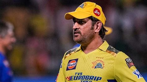 MS Dhoni's CSK is a 'champion' in unlisted market too, stock soars 15x in five years | Flipboard