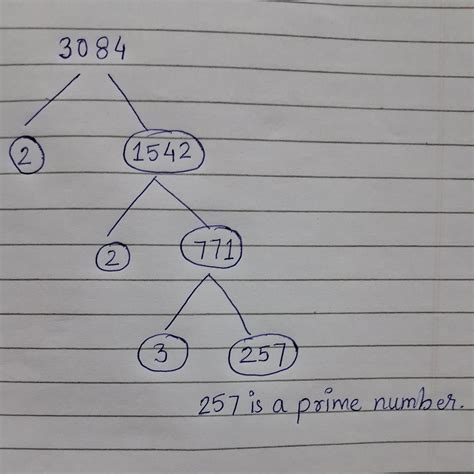 (iv) 48 Using Factor Tree Method, find the prime factorisa (a) 30म्यूजिक फैक्टर ट्री मेथड फाइंड ...