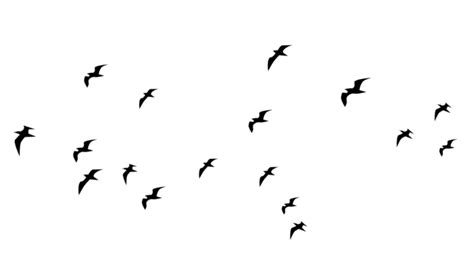 Fly Birds In The Sky, Birds, Flying, Art PNG and Vector with Transparent Background for Free ...