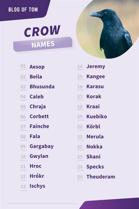 Looking for an interesting name for your crow? Look no further! This ...