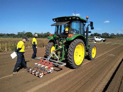 Australia sets sights on domestic sesame industry - Grain Central