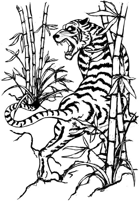 Tiger Outline Drawing - ClipArt Best