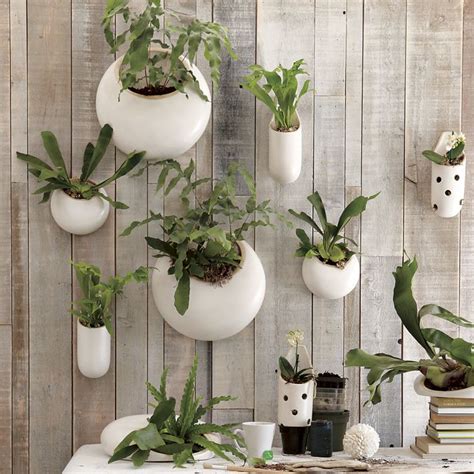 Objects of Design - Ceramic Wall Planters