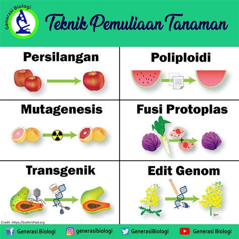 Teknik Pemuliaan Tanaman - Homecare24