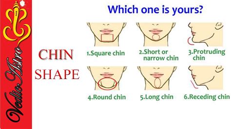 Types Of Chin Shapes