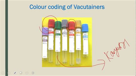 Order Of Drawing Blood Collection Tubes - Rectangle Circle