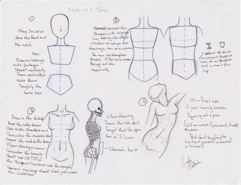 Torso tutorial by LadySaskia on DeviantArt