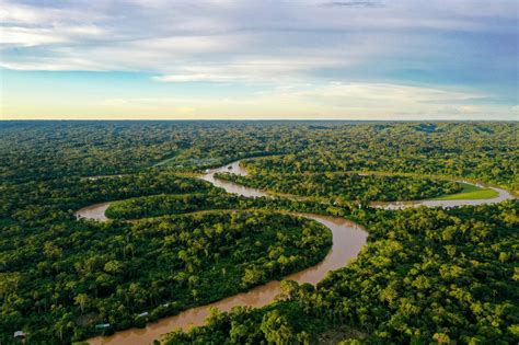 Amazonas al límite, 10 amenazas que demuestran que corre un grave peligro