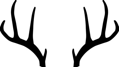 Deer Antlers PNG Transparent Images