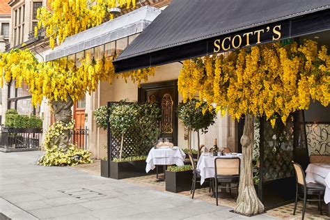 Scott's, Mayfair – Restaurant Review - Seafood, Fish | Tatler