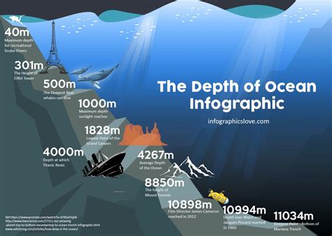 The Depth of Ocean Infographic | Ocean information, Ocean deep, Ocean