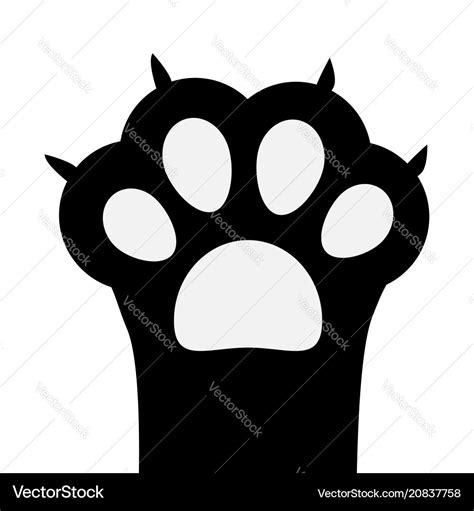 Big black cat paw print leg foot with nail claw Vector Image