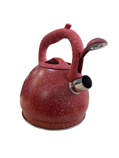 High Quality S/S Whistling Tea Kettle 3.0 Litre - Dealsdirect.co.nz