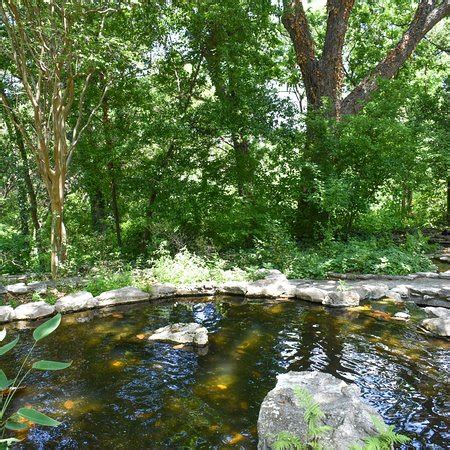 Zilker Botanical Garden (Austin) - 2018 All You Need to Know Before You Go (with Photos ...