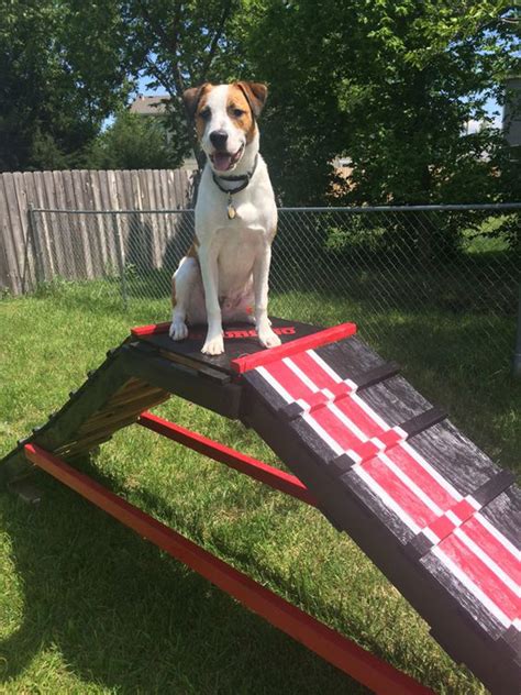 diy-dog-ladder-and-playground-ideas | Housetodecor.com