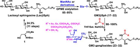 Chemoenzymatic Total Synthesis of GM3 Gangliosides Containing Different Sialic Acid Forms and ...