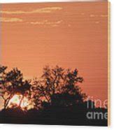 Sunrise Over Maasai Mara National Photograph by John Shaw - Fine Art ...