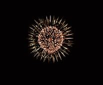 chrysanthemum-firework-effect - Sky King Fireworks