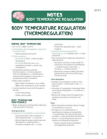 Body Temperature Regulation Diagram