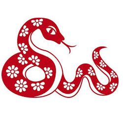 Astrology- Chinese Astrology - Chinese Zodiac - 12 Animal Signs, - Snake