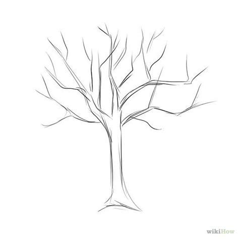 1000+ images about how to draw a family tree on Pinterest | Family ... | Tree drawing, Tree ...