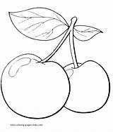 One Cherry Coloring Pages sketch template