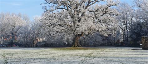 January 2023 – weather report – Winnersh Parish Council