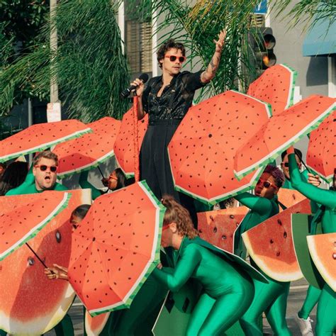 Harry Styles ‘Fine Line’ Album: Fruit References, Explained